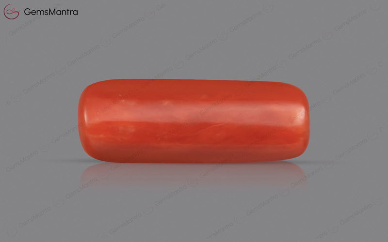 Red Coral - 5.07 Carats