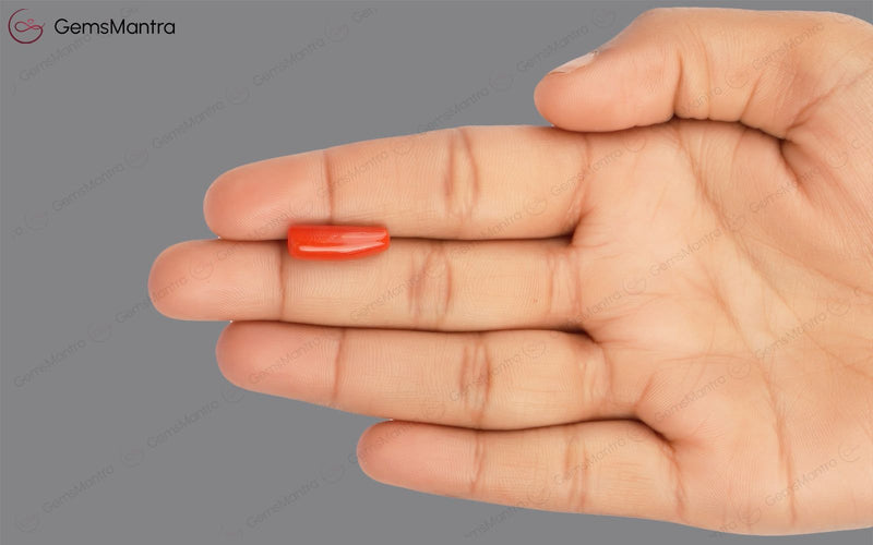 Red Coral - 5.07 Carats