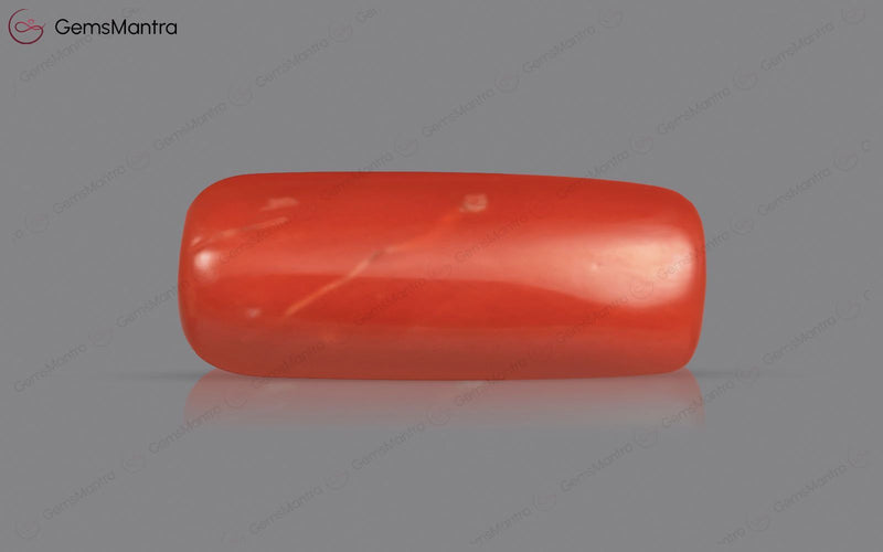 Red Coral - 4.61 Carats