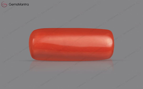 Red Coral - 4.61 Carats