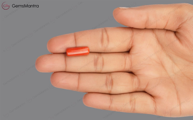 Red Coral - 4.61 Carats