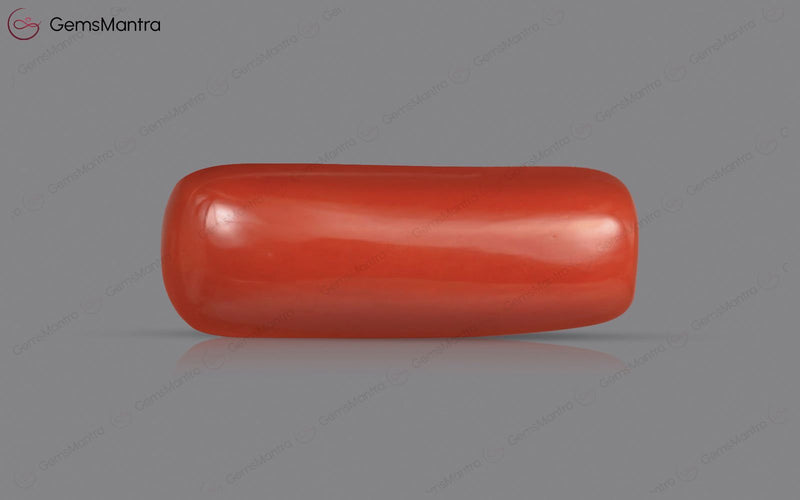 Red Coral - 5.74 Carats