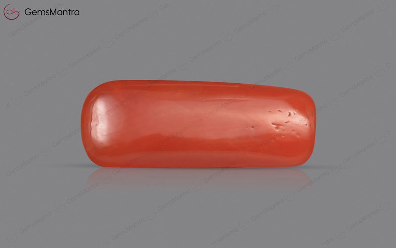 Red Coral - 5.74 Carats