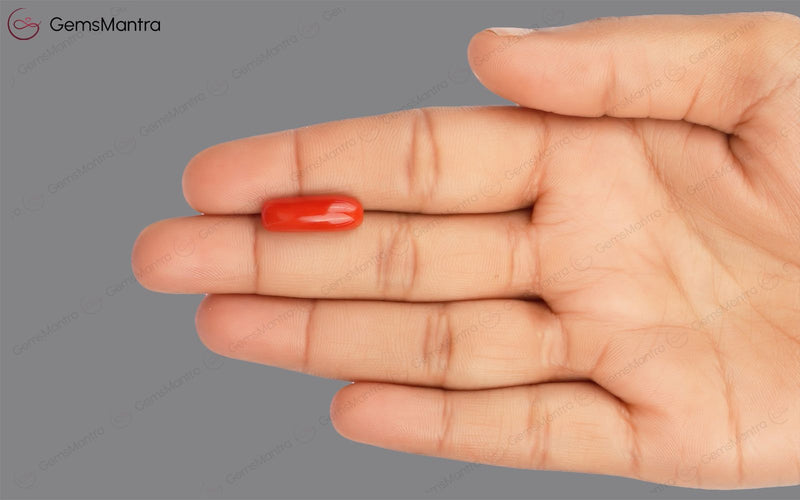 Red Coral - 5.74 Carats