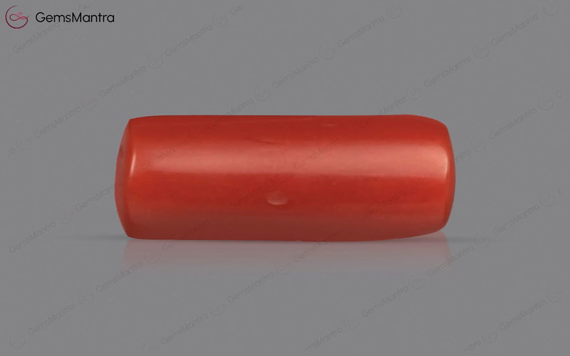 Red Coral - 4.58 Carats