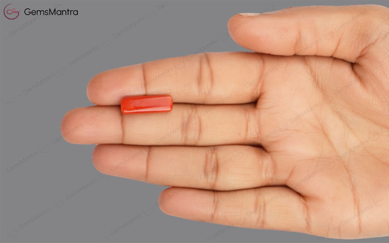 Red Coral - 4.58 Carats