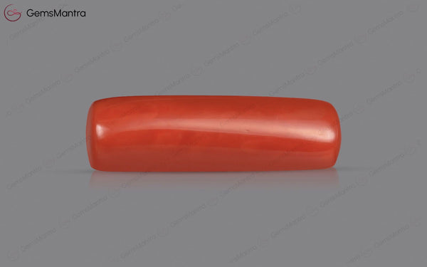 Red Coral - 4.76 Carats