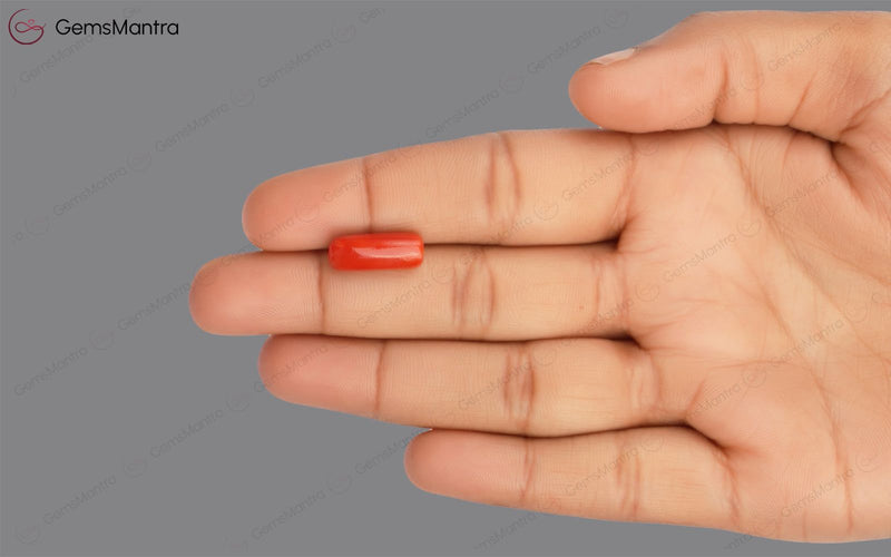 Red Coral - 4.76 Carats