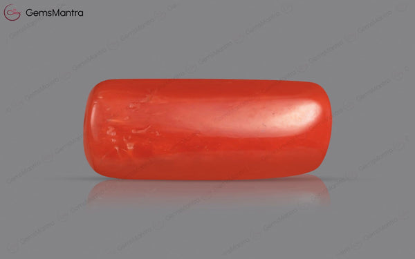 Red Coral - 5.73 Carats
