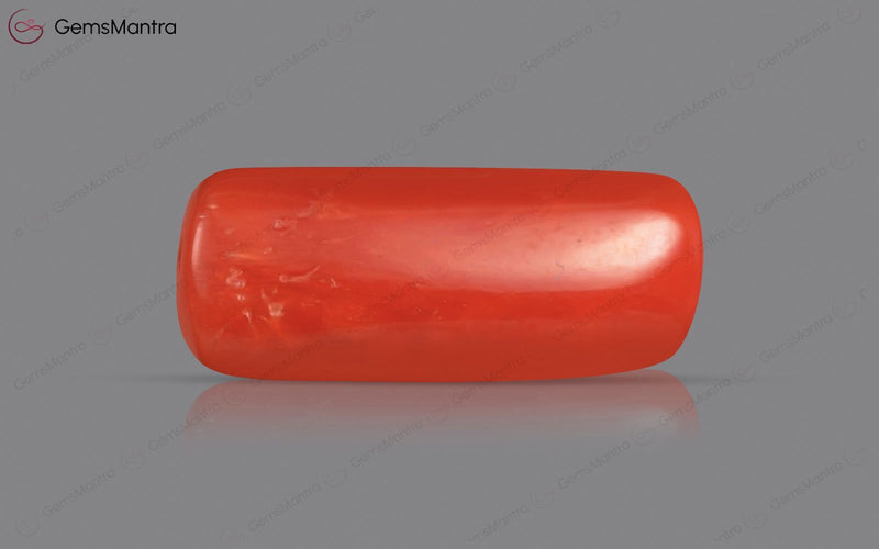 Red Coral - 5.73 Carats