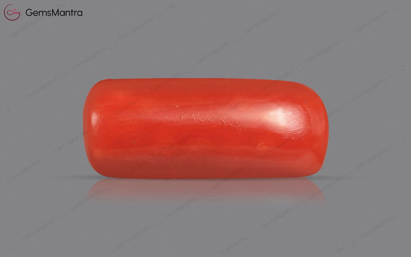 Red Coral - 5.73 Carats