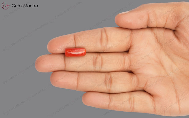 Red Coral - 5.73 Carats