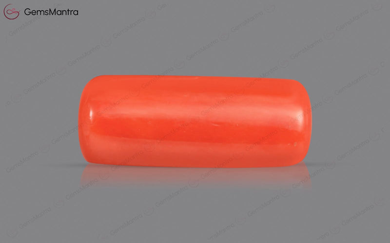 Red Coral - 5.72 Carats