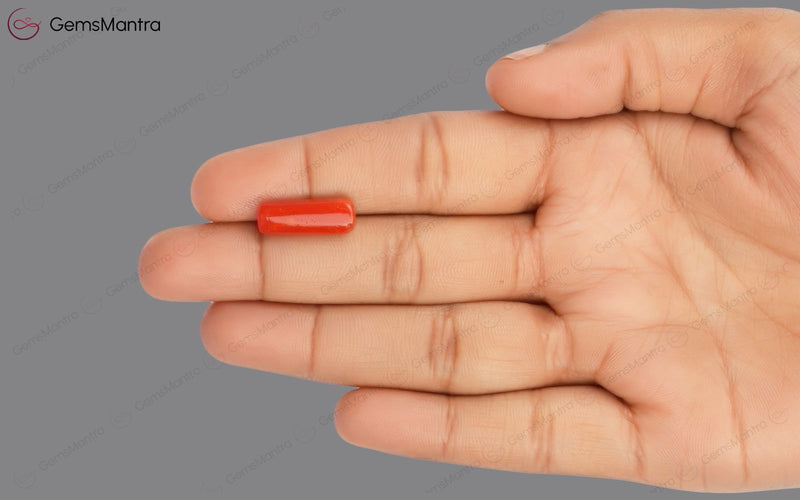 Red Coral - 5.68 Carats