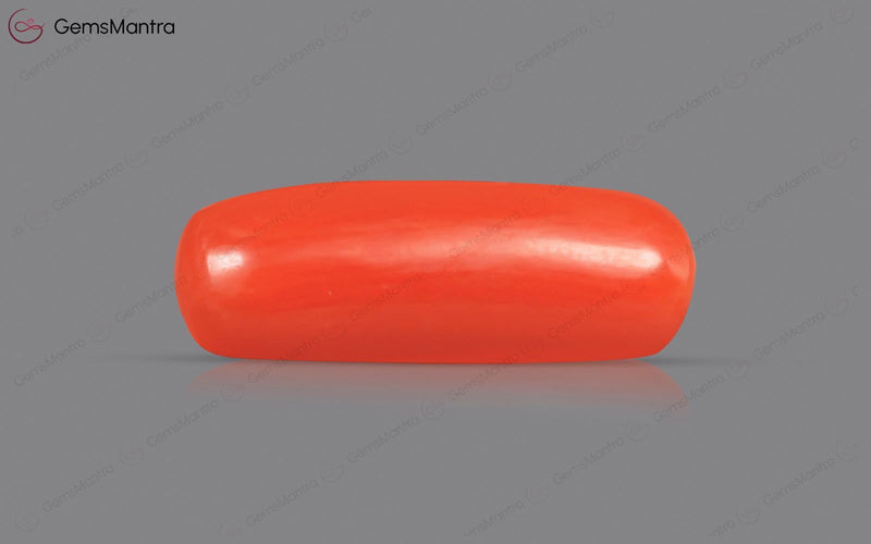 Red Coral - 3.92 Carats