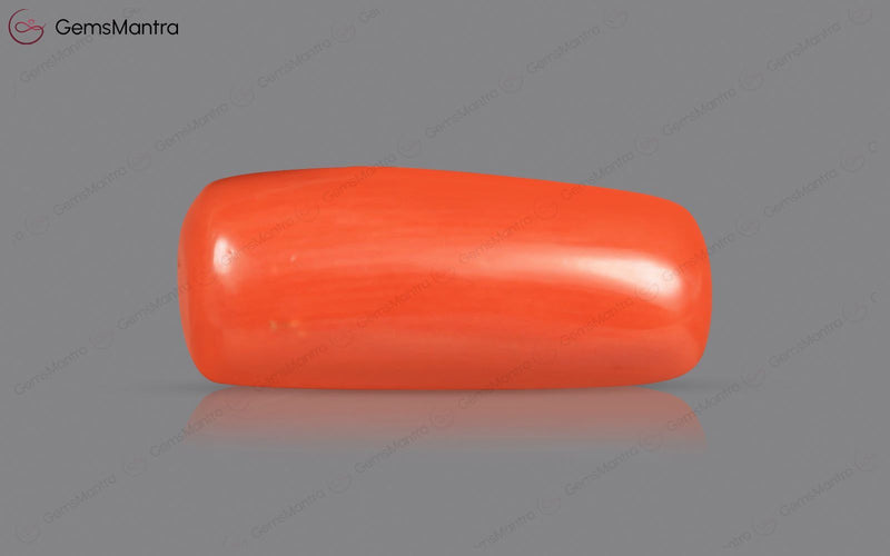 Red Coral - 4.57 Carats