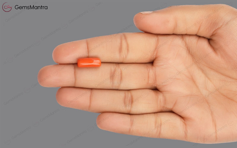 Red Coral - 4.57 Carats