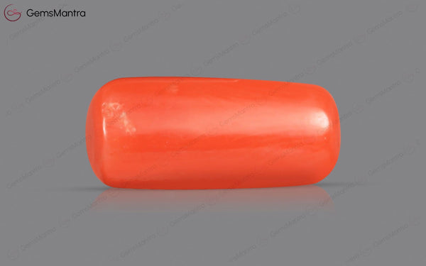 Red Coral - 4.29 Carats
