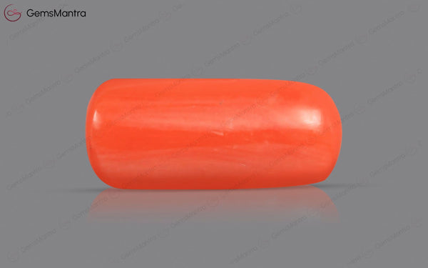 Red Coral - 4.29 Carats