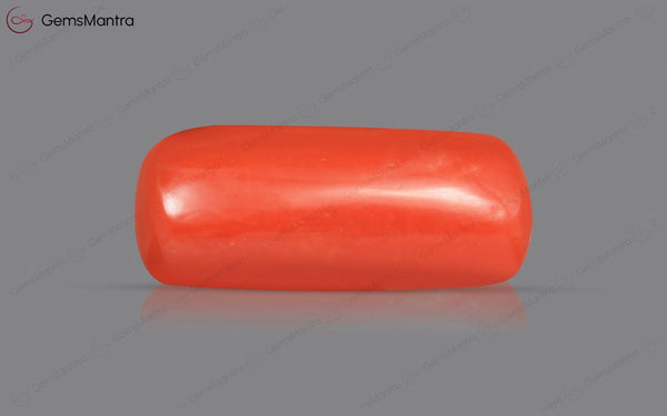 Red Coral - 4.89 Carats