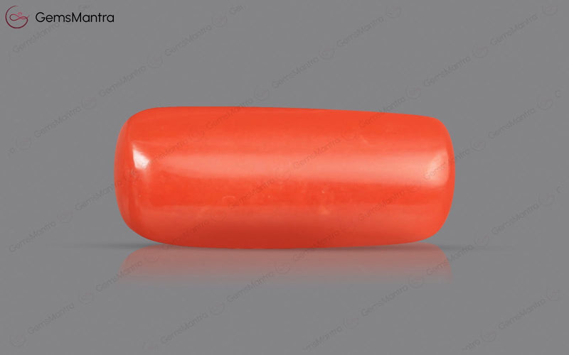 Red Coral - 4.89 Carats