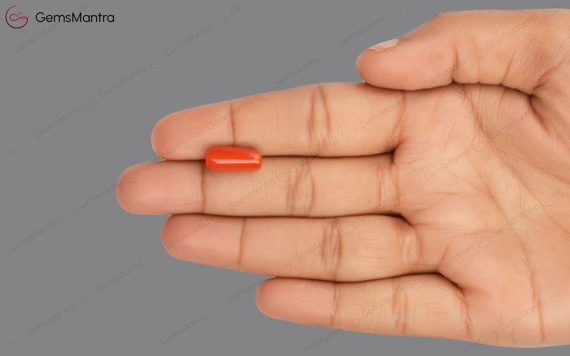 Red Coral - 4.89 Carats