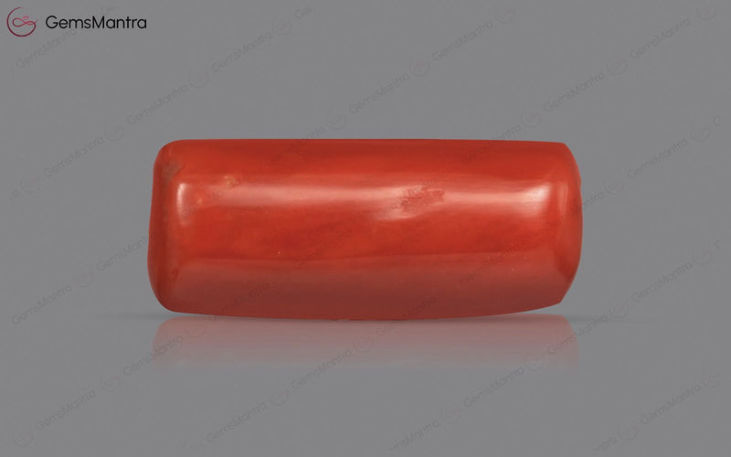 Red Coral - 4.91 Carats