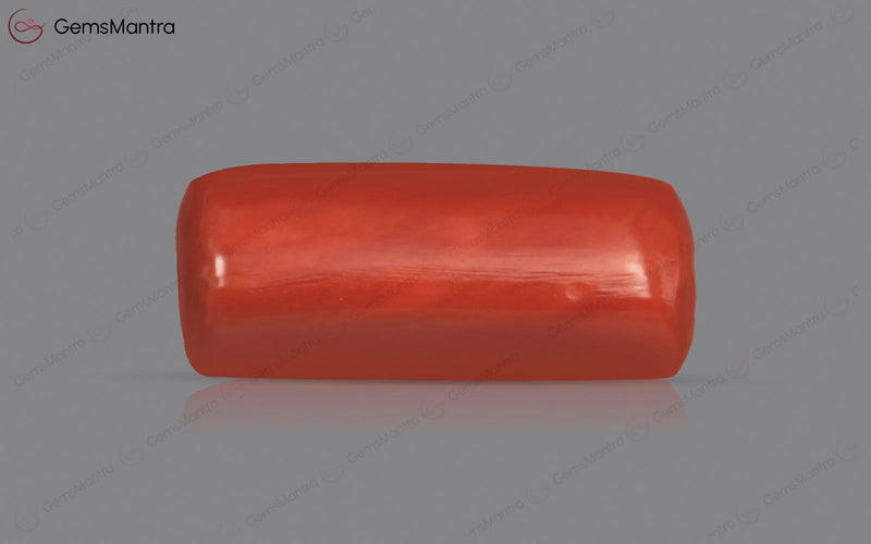 Red Coral - 4.91 Carats