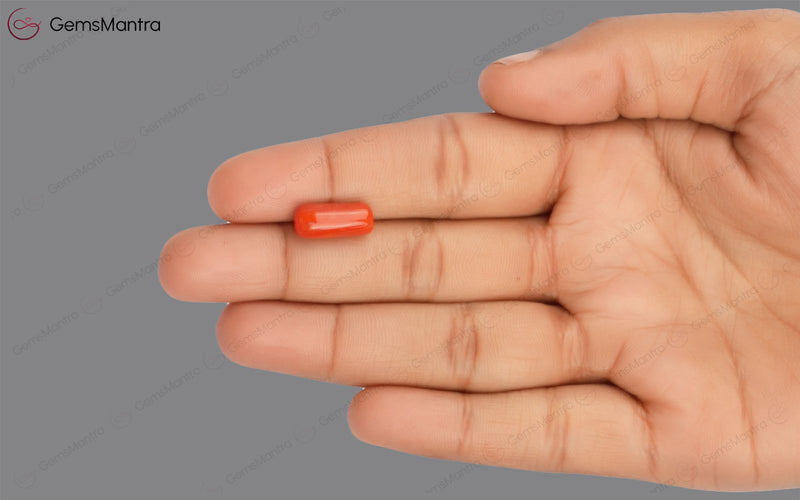 Red Coral - 4.91 Carats