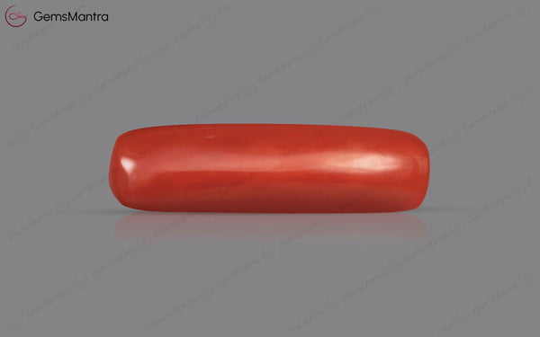 Red Coral - 4.02 Carats