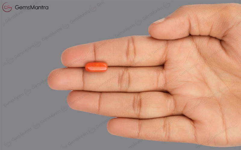 Red Coral - 4.02 Carats