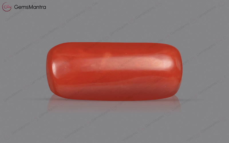 Red Coral - 4.89 Carats