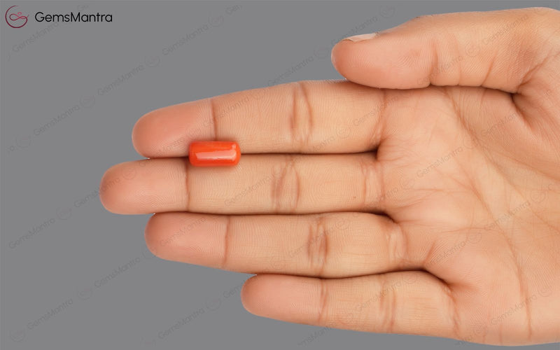 Red Coral - 4.62 Carats