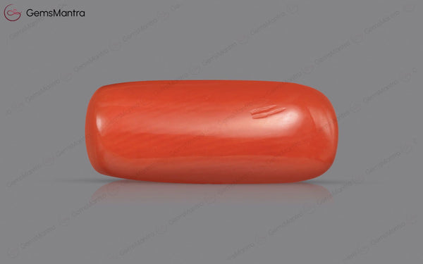 Red Coral - 4.8 Carats