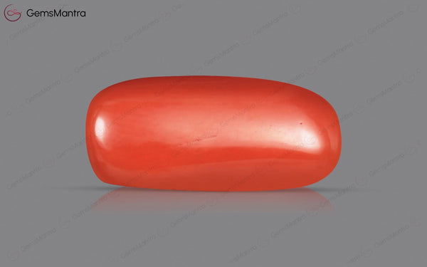 Red Coral - 5.04 Carats