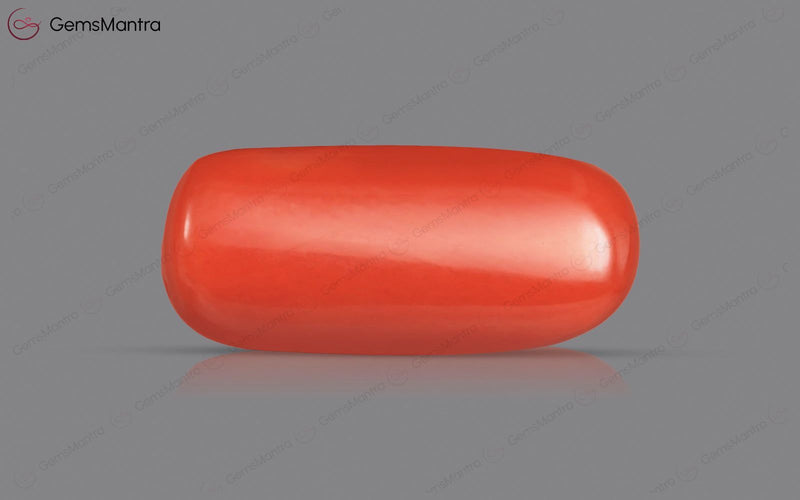 Red Coral - 5.04 Carats