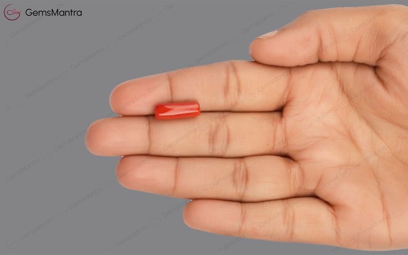 Red Coral - 5.04 Carats