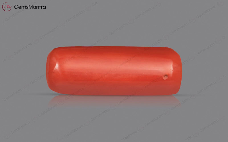 Red Coral - 5.37 Carats