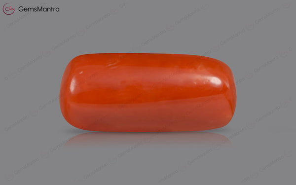 Red Coral - 5.26 Carats