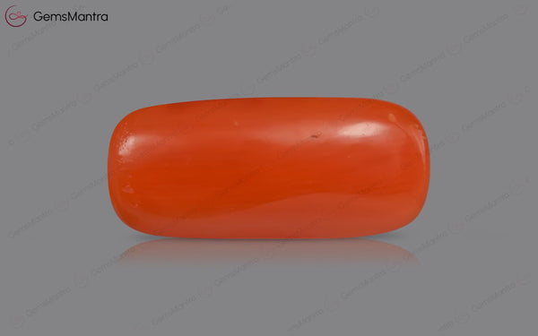 Red Coral - 5.01 Carats
