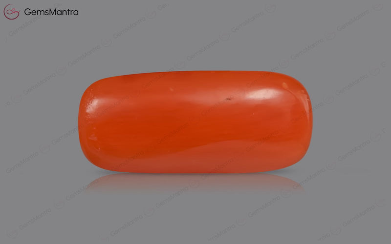 Red Coral - 5.01 Carats