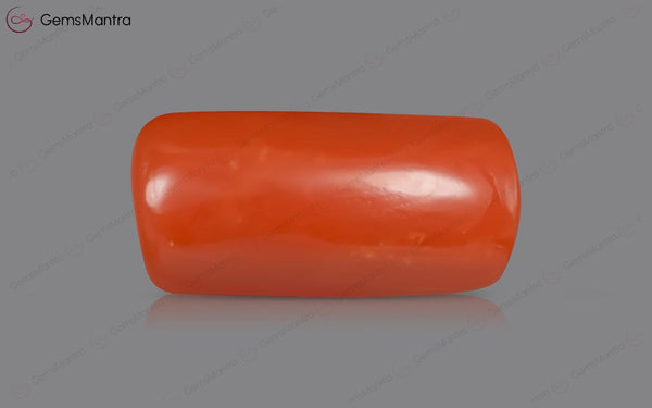Red Coral - 5.29 Carats