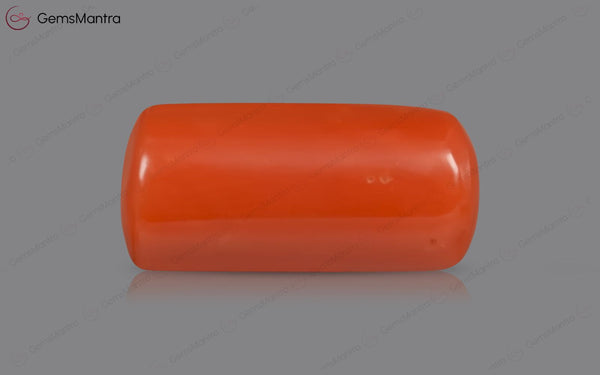 Red Coral - 5.29 Carats