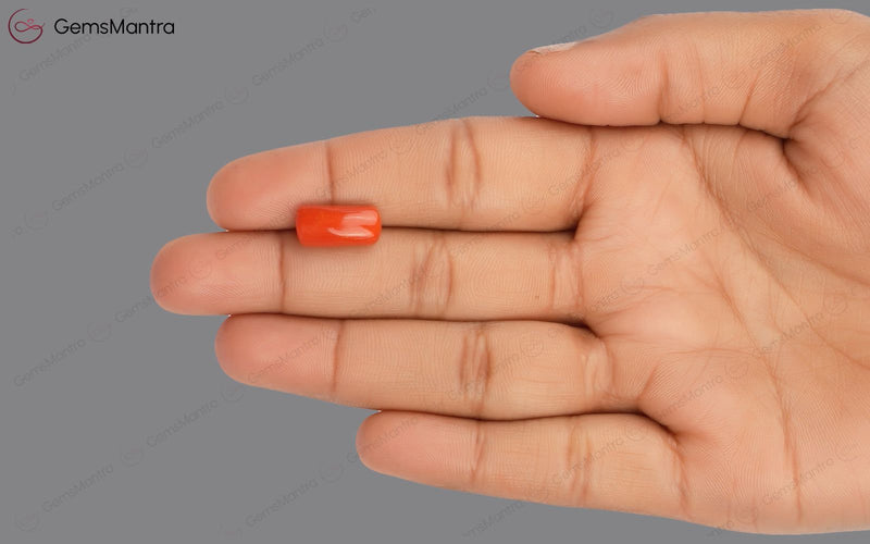 Red Coral - 5.29 Carats