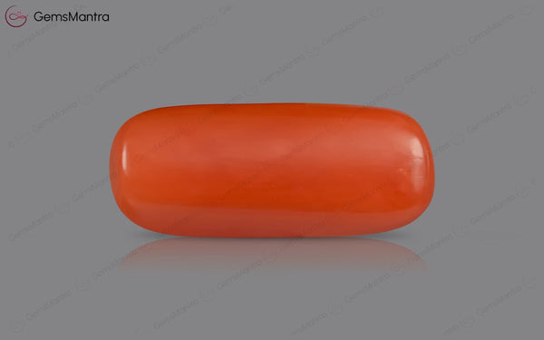 Red Coral - 5.06 Carats