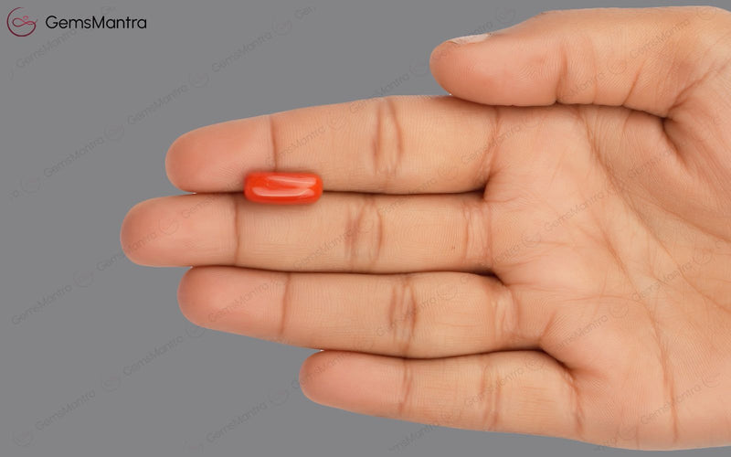 Red Coral - 5.06 Carats