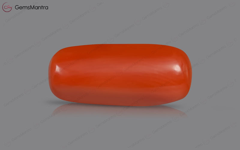 Red Coral - 5.34 Carats