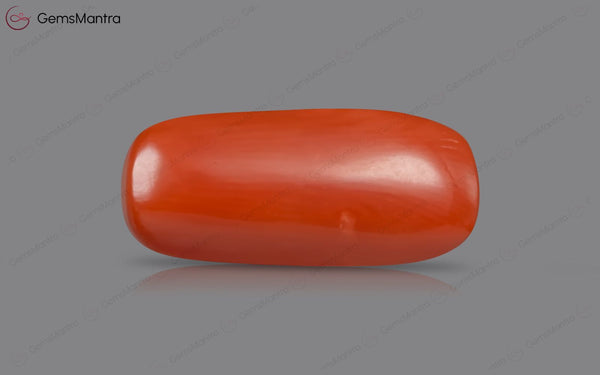 Red Coral - 5.34 Carats