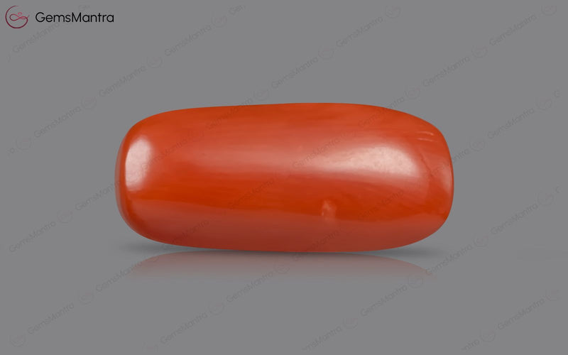 Red Coral - 5.34 Carats