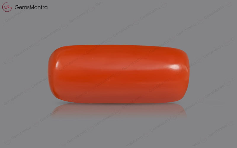 Red Coral - 5.3 Carats